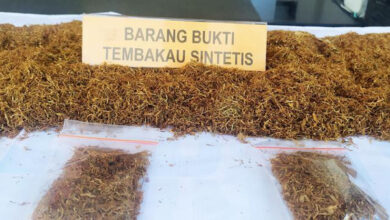 barang bukti tembakau gorilla.