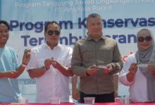 Konservasi terumbu karang dari PT Angkasa Pura 2 di Tanjung Lesung. Foto: Antara