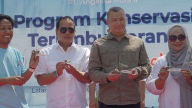 Konservasi terumbu karang dari PT Angkasa Pura 2 di Tanjung Lesung. Foto: Antara