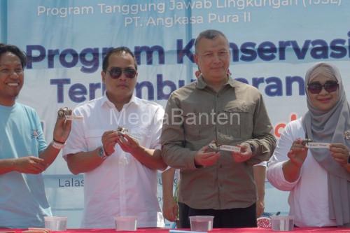 Konservasi terumbu karang dari PT Angkasa Pura 2 di Tanjung Lesung. Foto: Antara