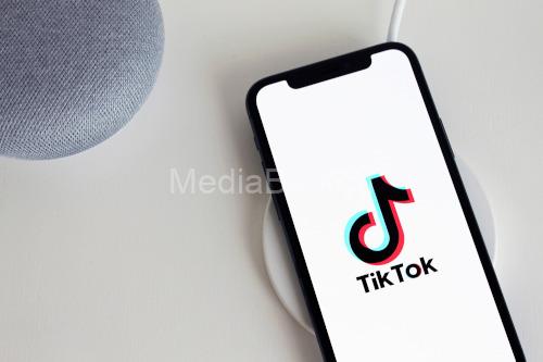 Aplikasi Tiktok Ilustrasi. Foto: Istimewa