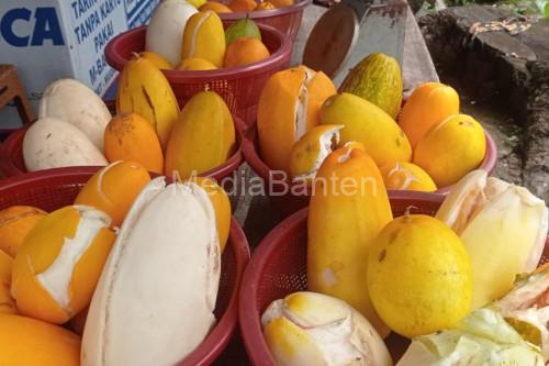 Timun Suri. Foto Antara