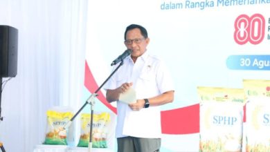 Mendagri Tito Karnavian. Foto: Antara