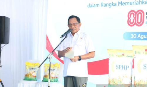 Mendagri Tito Karnavian. Foto: Antara