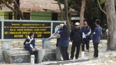 Sektor pariwisata, salah satunya Pulau Panaitan di TN Ujung Kulon, Pandeglang. Foto Nana Amdan