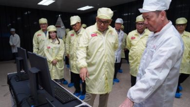 Todotua Pasaribu, Wamen Investasi dan Hilirasi / Wakil Kepala BPM. Foto: Antara