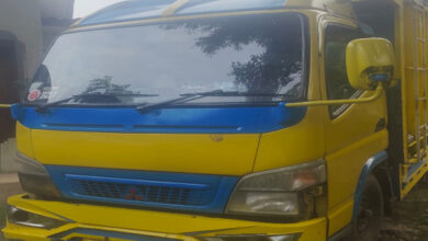 Truk yang digunakan mengangkut 2 hewan ternak hasil curian. Foto: Yono