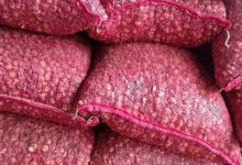 Tumpukan buah pinang dalam karung. Foto: LKBN Antara