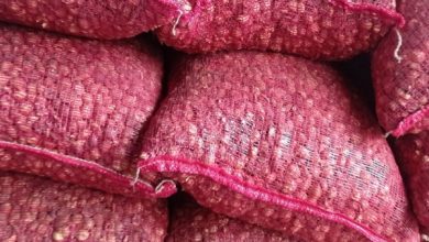 Tumpukan buah pinang dalam karung. Foto: LKBN Antara