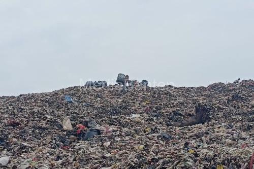 Pemkot Tangsel kewalahan tumpukan sampah. Foto Antara