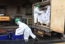 Pemusnahan udang reimpor yang terpapar radioktif cesium-137. Foto Antara