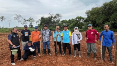 Unma Banten melakukan penanaman jagung. Foto Eko Supriatno