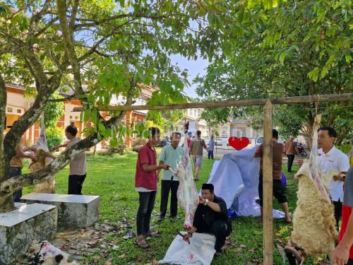 Unma Banten melakukan penyembelihan hewan kurban di Kampus. Foto Eko