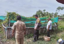 Wakapolres Serang, Kompol Ali Rahman CP mencek program Warbin dan Ketapang di Polsek. Foto: Yono