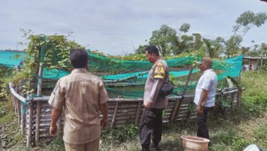 Wakapolres Serang, Kompol Ali Rahman CP mencek program Warbin dan Ketapang di Polsek. Foto: Yono