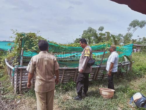 Wakapolres Serang, Kompol Ali Rahman CP mencek program Warbin dan Ketapang di Polsek. Foto: Yono