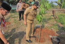 Walikota Tangerang, Arief R Wismansyah tanam pohon. Foto: Diskominfotik Kota Tangerang