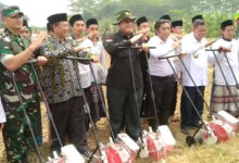 Wamen Pertanian RI, Harvick Husnul Qolbi panen jagung di Curug, Kota Serang. Foto: Aden Hasanudin