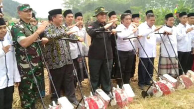 Wamen Pertanian RI, Harvick Husnul Qolbi panen jagung di Curug, Kota Serang. Foto: Aden Hasanudin