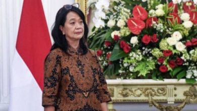 Wamen PU, Diana Kusumastuti. Foto: Antara