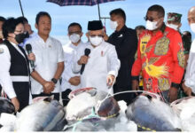 Kunjungan Kerja Wapres RI, KH Maruf Amin di Biak Numfor. Foto: BPMI Satwapres RI.