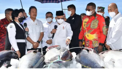 Kunjungan Kerja Wapres RI, KH Maruf Amin di Biak Numfor. Foto: BPMI Satwapres RI.