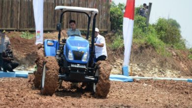 Wapres RI, Girban Rakabung Raka di panen jagung Tangerang. Foto: Antara