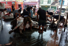 Warga Sempu menyalurkan daging darl sistem menabung. Foto: Ucu