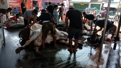 Warga Sempu menyalurkan daging darl sistem menabung. Foto: Ucu