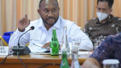 Yan Permenas Mandenas, anggota DPR RI asal Papua. Foto: Antara